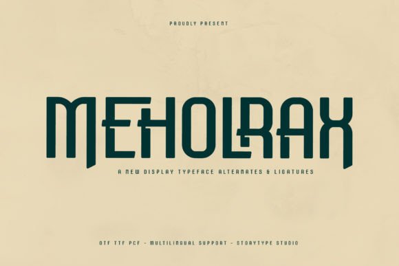 How Meholrax Elevated My Brand's Visual Identity
