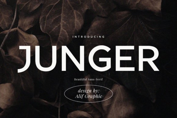 Junger Modern Sans for Editorial Design and Content Creation