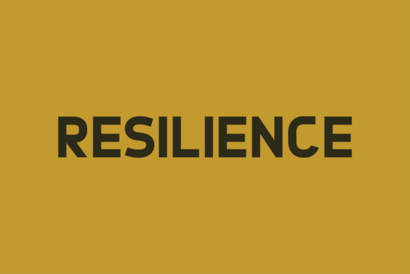 Resilience Font Review for Modern Branding